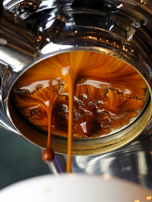 Close up of Coffee - Casa Ortiz Coffee